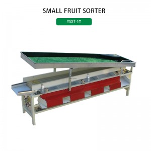 Small fruit nut dates litchi walnut cherry plum size sorting machine