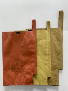 2021 Hot sale super Waterproof double layer three layer Mango Grape Fruit growing protection Cover Paper Bag